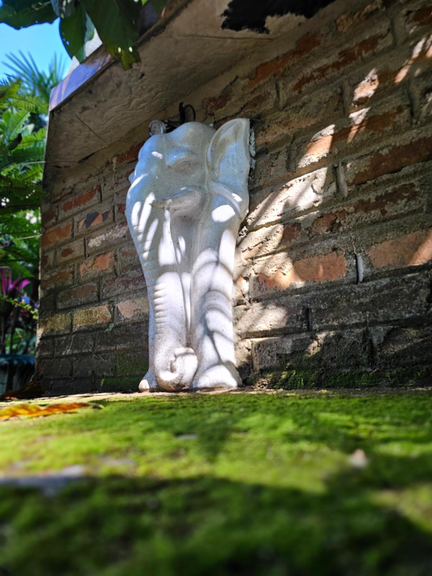 Galkanda Walawwa Kandy Exterior foto