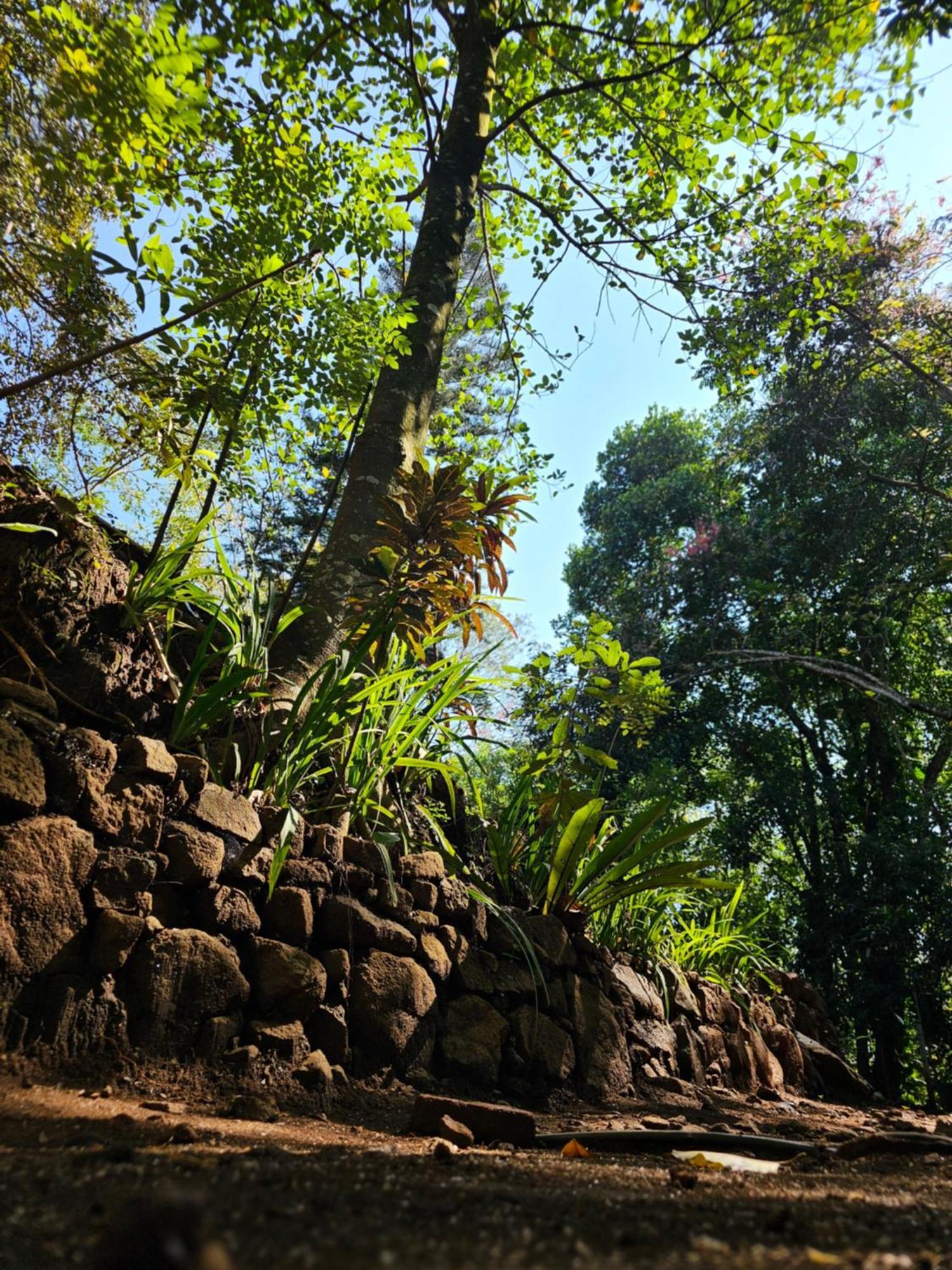 Galkanda Walawwa Kandy Exterior foto