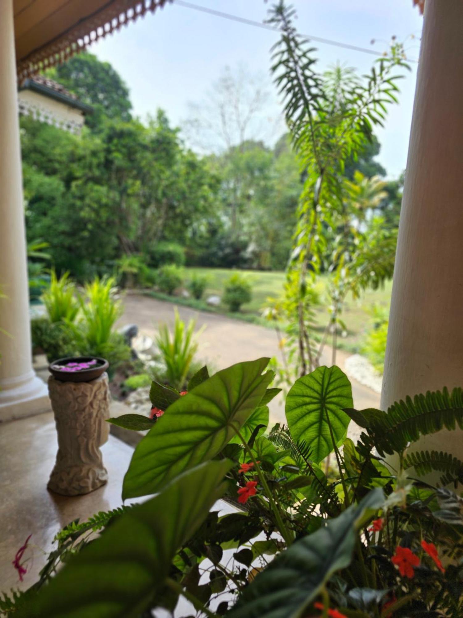 Galkanda Walawwa Kandy Exterior foto